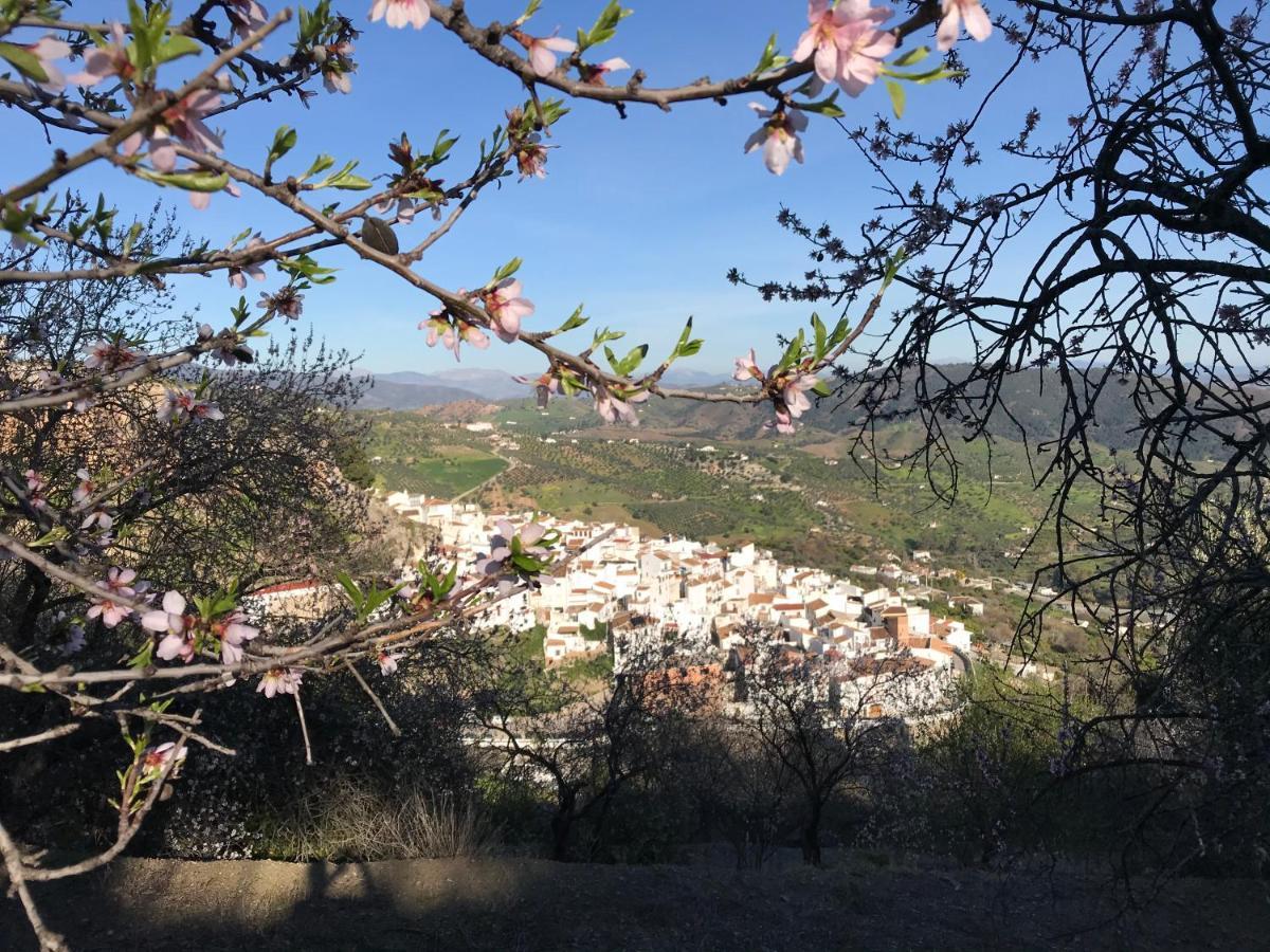 דירות Casarabonela Casa La Vista מראה חיצוני תמונה
